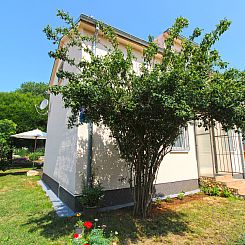 Appartement Apartment 1840