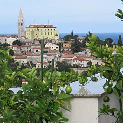 Appartement Apartments Villa Urbajs - Studio with Balcony