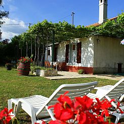 Vakantiehuis Freistehendes Haus Violeta mit weitläufigen Ga