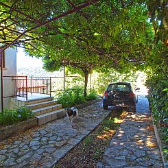 Appartement Apartment 981