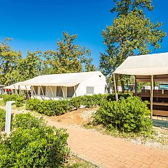 Safaritent + sanitair