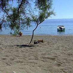 Vakantiehuis mit Privatpool neben dem Strand
