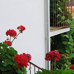 Appartement Appartement in Jelsa mit Garten und Grill