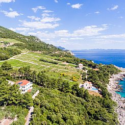 Appartement Plavac Mali