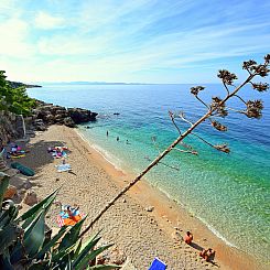 Appartement Plavac Mali