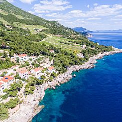 Appartement Plavac Mali