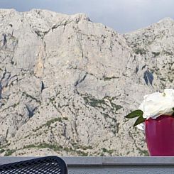Appartement "Rose" mit Terrasse