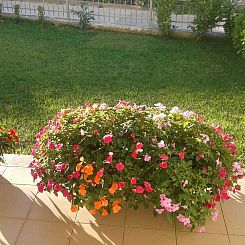 Appartement Strandnahe Wohnung mit großer Terrasse