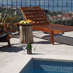 Vakantiehuis "Villa Petar" mit Infinity Pool