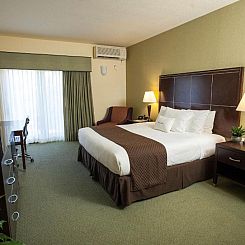 DoubleTree by Hilton Hotel & Spa Napa Valley - American Cany