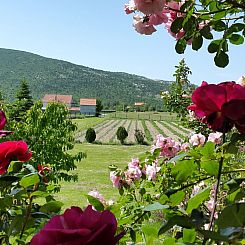 Vakantiehuis Anwesen "Villa Almas, Sauna, Fitnessraum, Multi