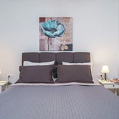 Appartement A2b