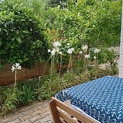 Appartement Wohnung mit Balkon