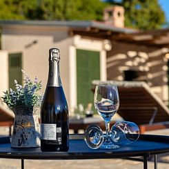 Vakantiehuis Villa Oliveto with pool
