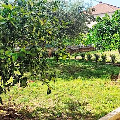Appartement Frlea