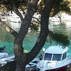 Appartement Erdgeschosswohnung Mia für vier Personen