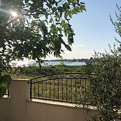 Vakantiehuis Villa Olive Grove