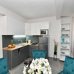 Appartement mit Terrasse