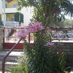 Appartement Jezera