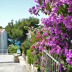 Appartement Rose