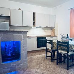 Appartement für 4 Personen ca. 60 m&sup2; in Milna auf Brac