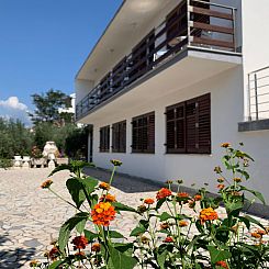 Appartement Wohnung Volaric