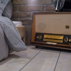 Vakantiehuis Aničić