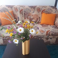 Appartement mit herrlicher Aussicht