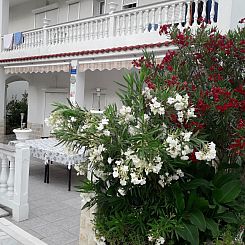 Vakantiehuis bis 9