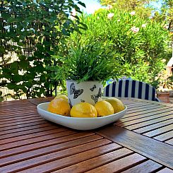 Appartement Apartment Savic