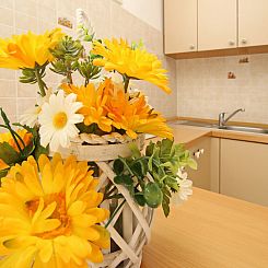 Appartement Apartment Radosna