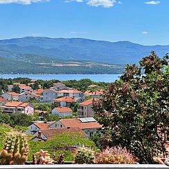 Appartement Studio Andjelka