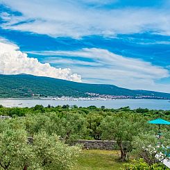 Vakantiehuis Villa "Olive Tree" mit Schwimmbad