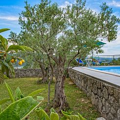 Vakantiehuis Villa "Olive Tree" mit Schwimmbad