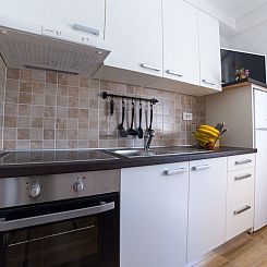 Appartement Apartment Raspolic no.1