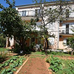 Appartement Jelka 1