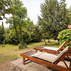 Vakantiehuis Tiny house Laurel - 70 Meter vom Strand entfern