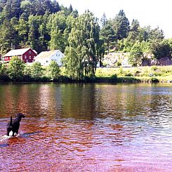 Vakantiehuis mit Blick auf das Wasser