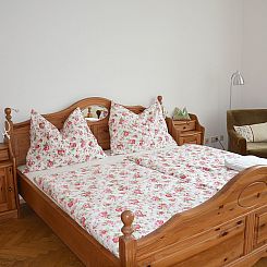 Appartement Vienna1090