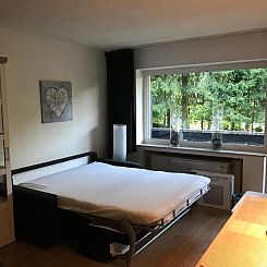 Winterberg Vacation Apartment