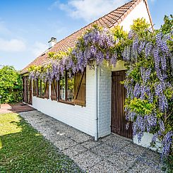 Vakantiehuis Duinenhuis 123