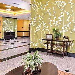 Sleep Inn and Suites Downtown Houston