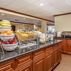 Comfort Suites Houston Galleria