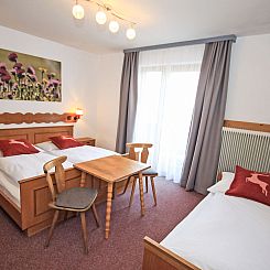 Vakantiehuis Chalet Alpin