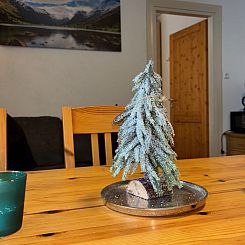 Appartement 2_KAP-9-Cosy Kaprun Apartment