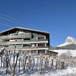 My Mountain next door