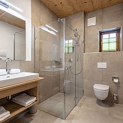 Appartement 6_ALP - Premium Tauernstyle Golling