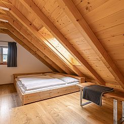 Appartement 6_ALP - Hochgolling 1  - Loft Apartment