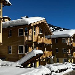 Appartement in Viehhofen