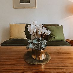 Appartement Wagner Top 32